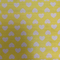 Tulle Fabric