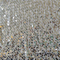  Nylon tulle with sequins 