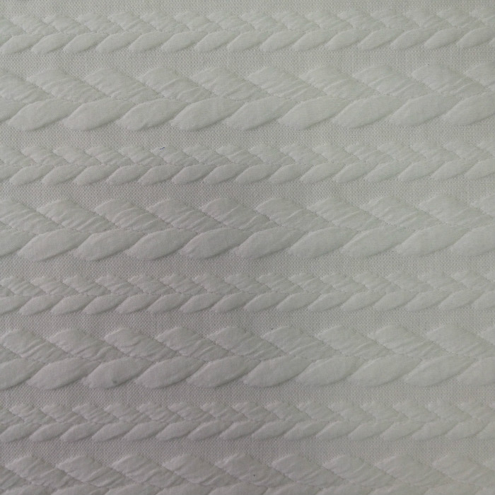 Knitted Jacquard Fabric