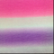 Single Jersey Fabric with Printing 