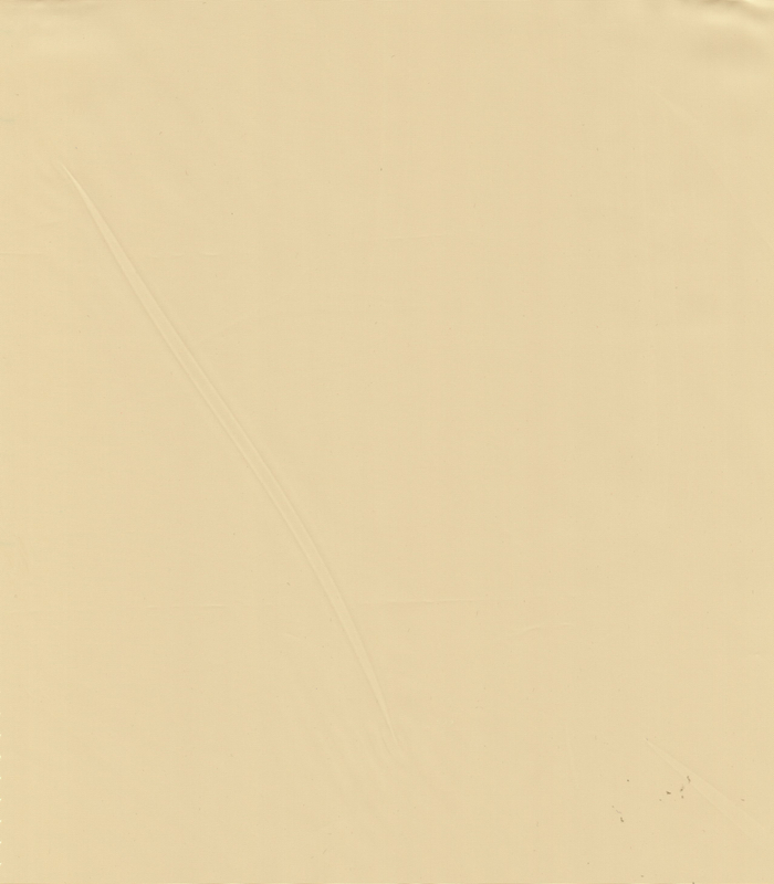 100% POLYESTER WOVEN FABRIC HZQT-2412855