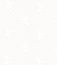 Lace