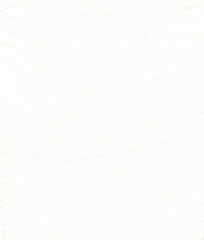 100% POLYESTER VOILE FABRIC HZQT-2210856