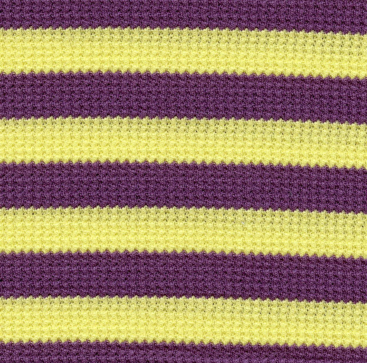 97% COTTON 3% SPANDEX WALF HZQT-1908225