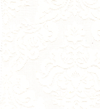 50% COTTON 50% NYLON LACE -HZQT-2413202