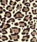 100% POLYESTER FLANEL PRINTED HZQT-2412985