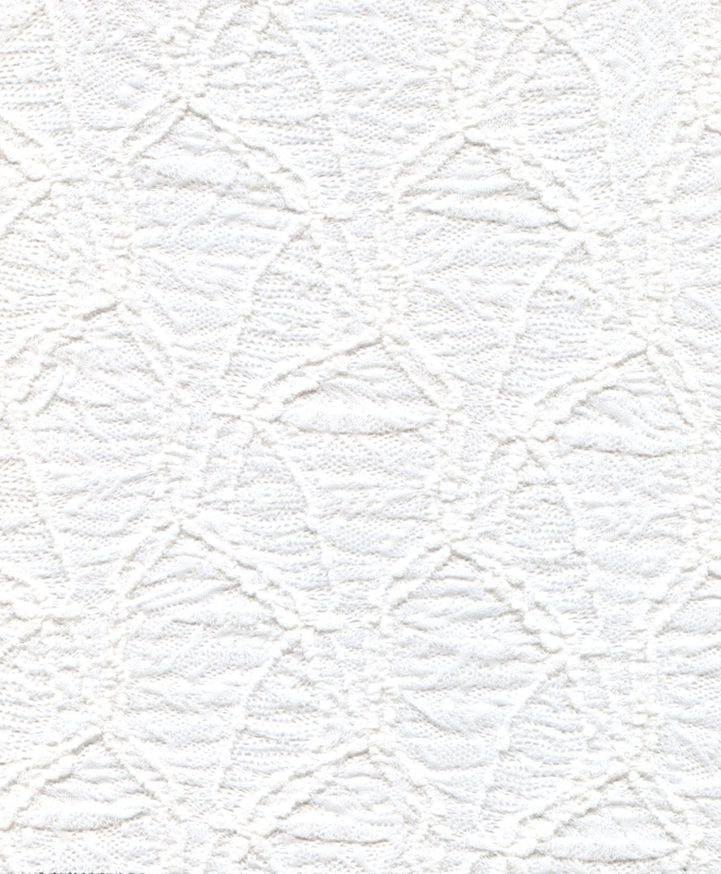 99% NYLON 1% ELASTANE LACE HZQT-2413293